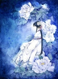 我有一本法书
