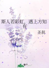 斯人若彩虹，遇上方知有